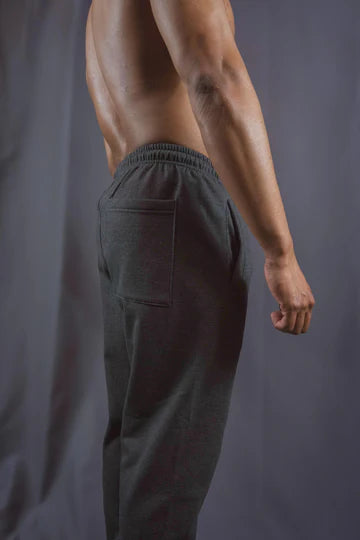 Bad Wolf Pants Gris